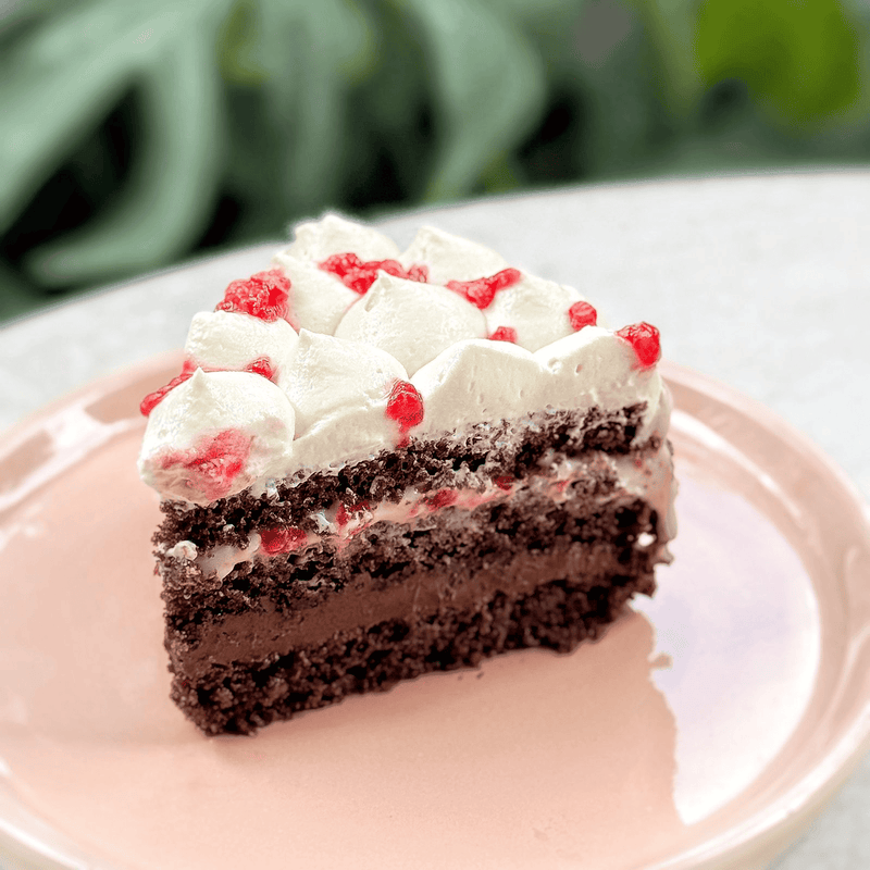 Raspberry Chocolate Cake Slice
