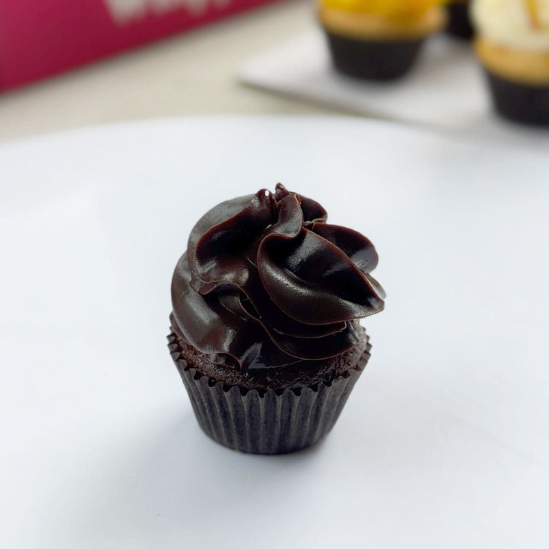 Sugar-free frosted chocolate mini cupcake (6Pcs)